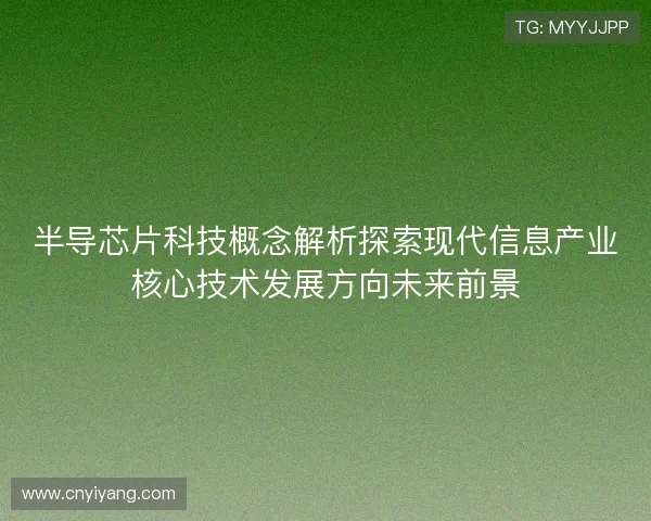 半导芯片科技概念解析探索现代信息产业核心技术发展方向未来前景 半导芯片科技概念解析探索现代信息产业核心技术发展方向未来前景